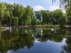 -玲珑塔公园