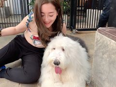 -TrueLove @ Neverland (Husky Cafe)
