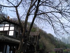 -重庆彩云湖湿地公园