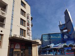 -海合安青岛极地海洋公园