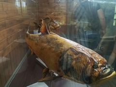 -南京金牛湖风景区