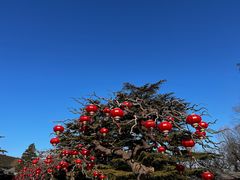 -香山公园