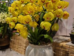 -双季花艺园艺市场(浦东店)