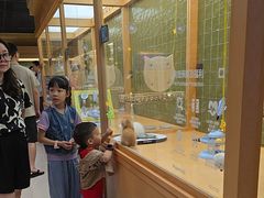 -帕帕拉兹宠物(亚洲旗舰店)