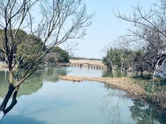 -沙家浜风景区