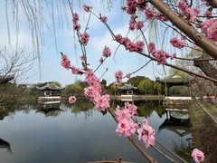 -无锡蠡湖国家湿地公园-蠡园