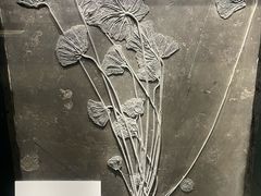 -大连自然博物馆