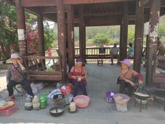 -长寿村