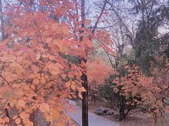 -阳台山自然风景区