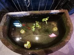 -香叶草中餐厅(川白楼店)