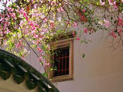 -深圳国际园林花卉博览园