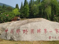 -习家池