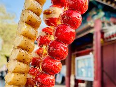 -糖葫芦王保定名吃(古莲花池店)