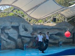 -泉州海丝野生动物世界