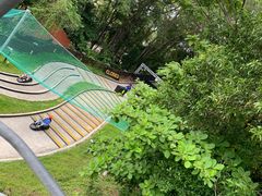 -圣淘沙天际线斜坡滑车