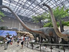 -国家自然博物馆