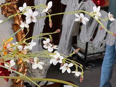 -LE MISSMORE餐酒吧(茉念西里店)