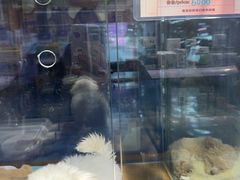 -FAELING PETS美天灵宠物(富力广场店)