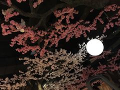 -蓝鲸湾汤泉(包河店)