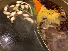 -小天鹅火锅·一线江景洪鼎旗舰店(洪崖洞店)