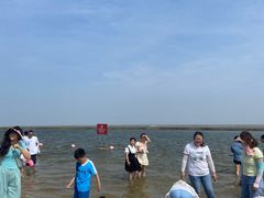 -碧海金沙
