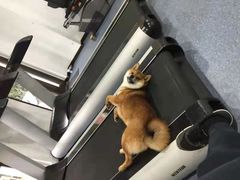 -博纳私人订制健身(中集美兰湖店)