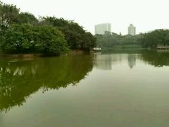 -石湾公园