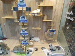 -米卢宠物公园(广华居店)