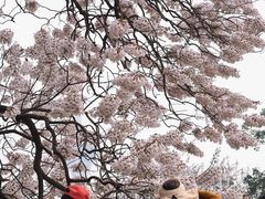 -红星桥(地铁站)