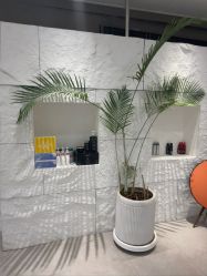-BOF HAIR BY HONTO
