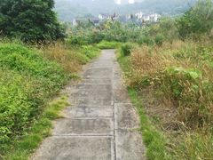 -张坝桂圆林公园