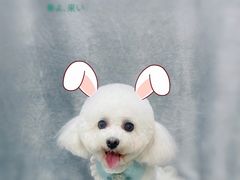 -宠Ta宠物生活馆(济宁任城区)