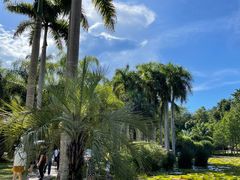 -中国科学院西双版纳热带植物园