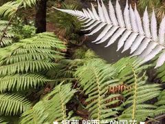 -Lucky Fortune Restaurant(喜运来酒家)