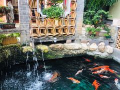 -阿多私房菜(顺德店)