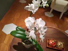 -南堂馆·新川菜(春熙路店)