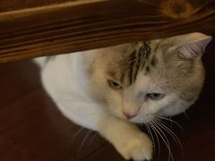 -云端咖啡私房店(河松街店)