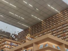 -朵云书院(滴水湖店)