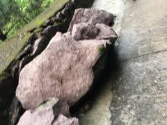 -湖州龙王山景区