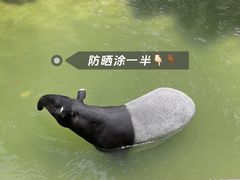 -杭州野生动物世界
