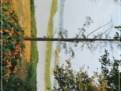 -三水森林公园