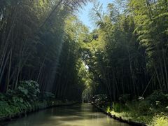 -同里国家湿地公园
