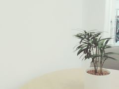 -Onirii Coffee(长乐路店)