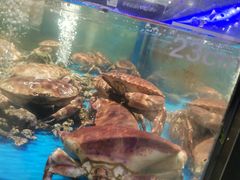 -盒马鲜生(岭南新世界店)