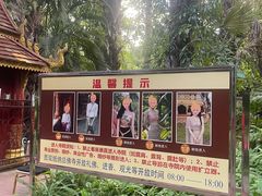 -西双版纳总佛寺
