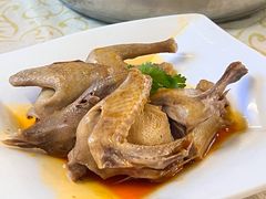 -百利鸽王(紫薇路店)