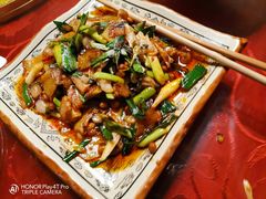 -龙翔山庄雷鸡肉(青城后山泰安古镇店)