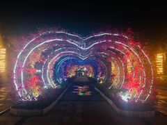 -三亚海昌梦幻海洋不夜城