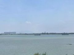 -八仔大富楼·河鲜(西江店)