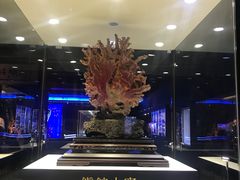 -绮丽珊瑚博物馆(台东店)
